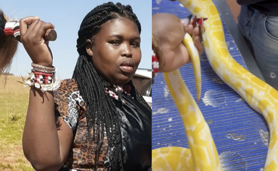 Gogo Maweni allegedly spends R 2000 on her snake after it caught flu