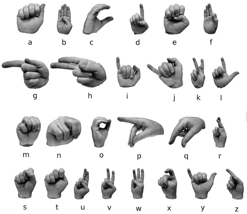 Sign Language Is Officially South Africa s 12th Official Language